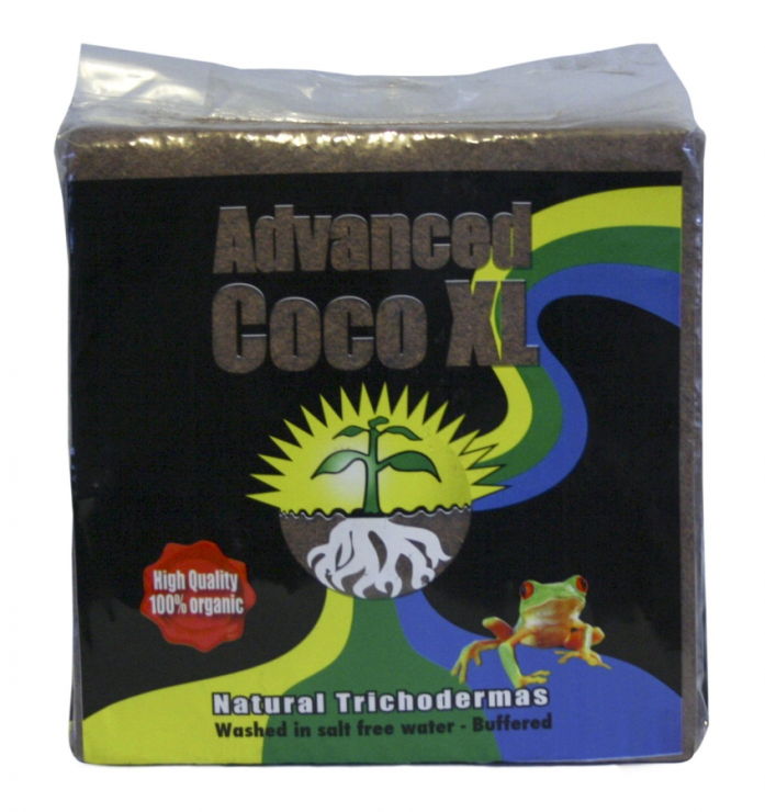 AH Coco Advanced XL