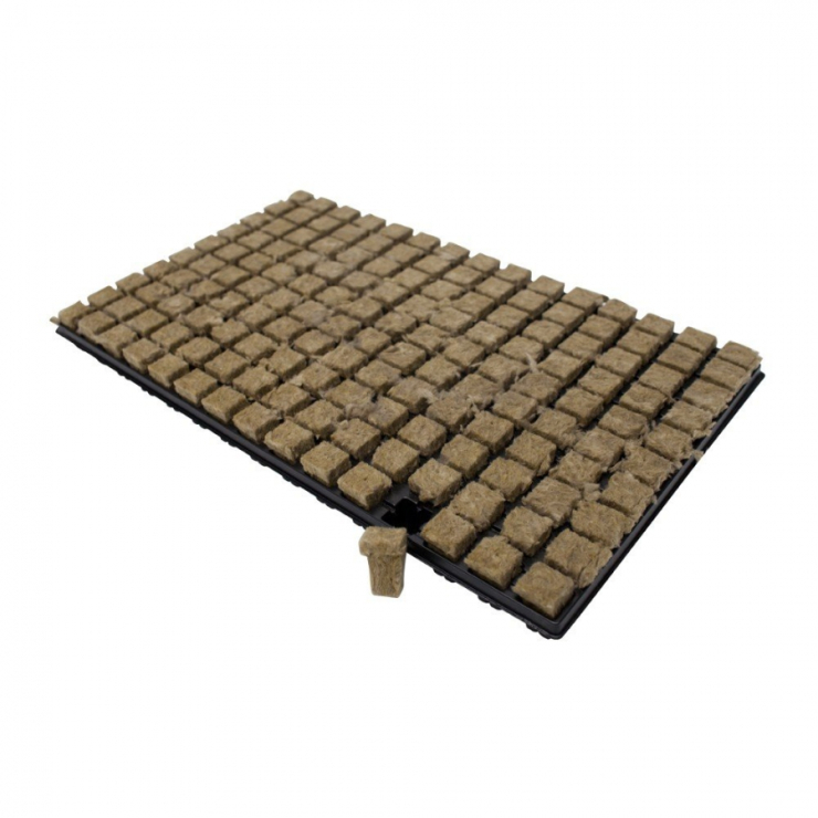GRODAN sadbovací kostky 25x25x40mm v sadbovači po 80ks