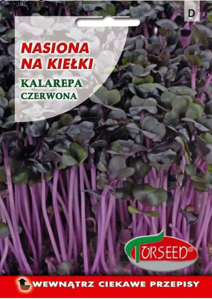 Kedluben červený semena na klíčky 10g