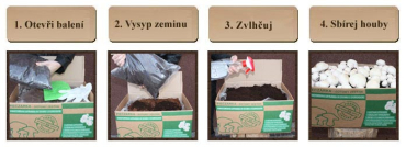 Žampion hnědý - substrát 7kg