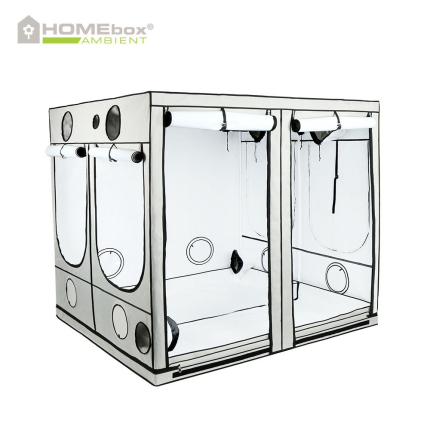 Homebox Ambient Q240+, 240x240x220cm