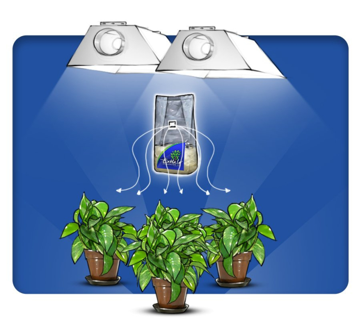 ExHale CO2 Bag, přírodní generátor CO2